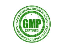 GMP logo