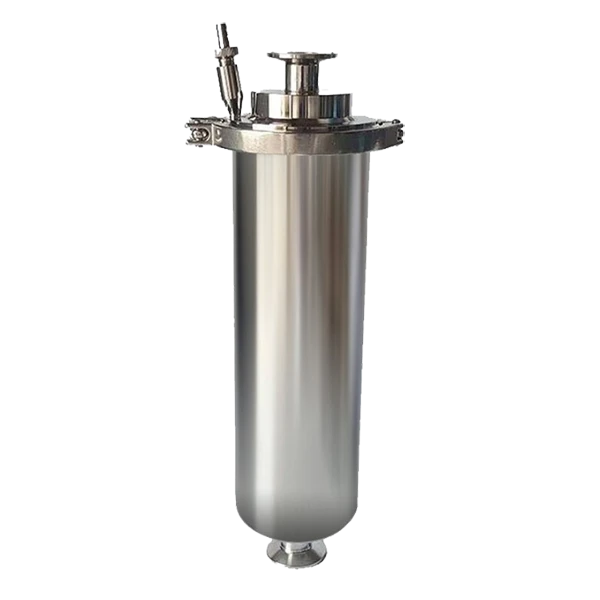 Inline tubazione alloggiamento del filtro su sfondo bianco