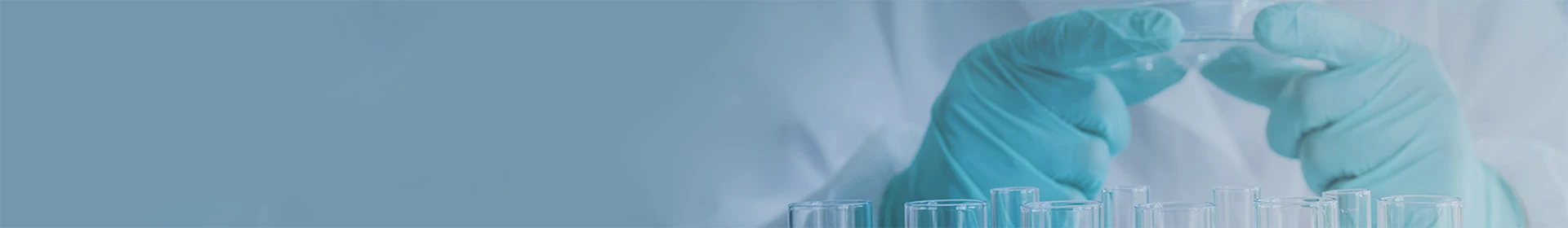 Quality inspectors are conducting product performance testing