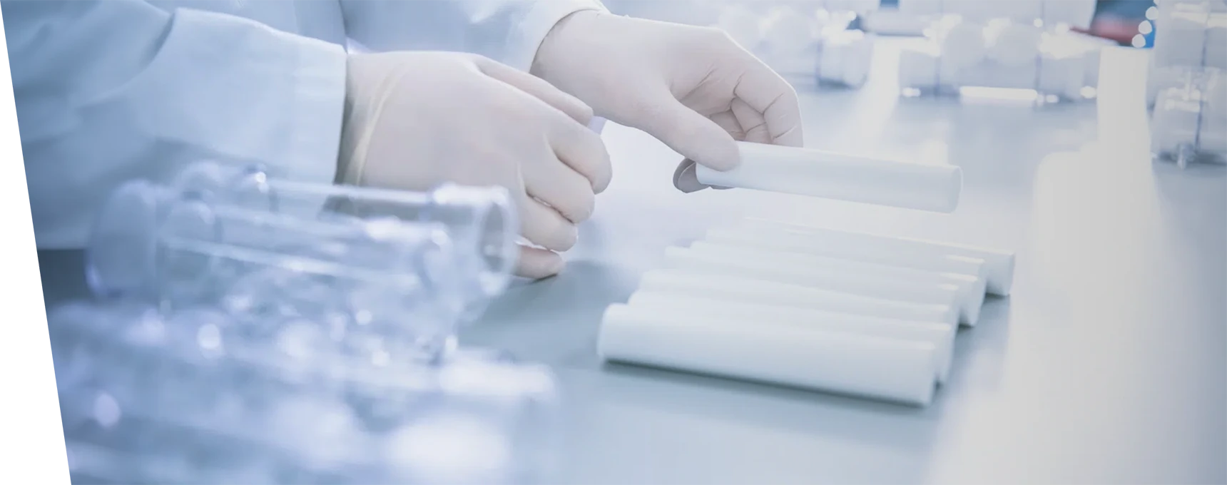Researcher organizing filtration membranes in the laboratory