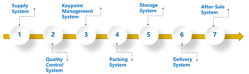 Flowchart of the seven major quality systems