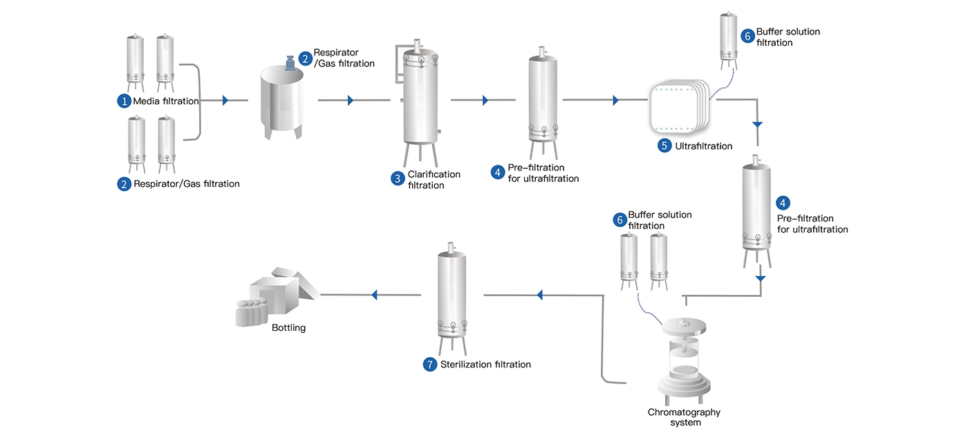 Vaccine production filtration process diagram